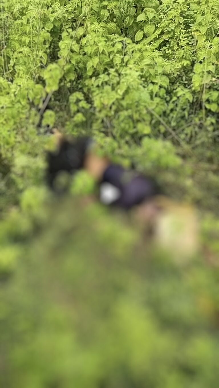 Screenshot_20250821-173453~2