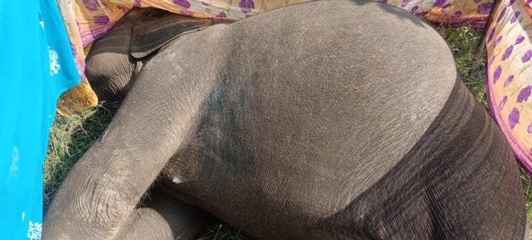 WhatsApp Image 2025-11-05 at 2.25.07 PM