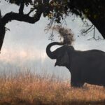 1758855937_892hqbyr1I