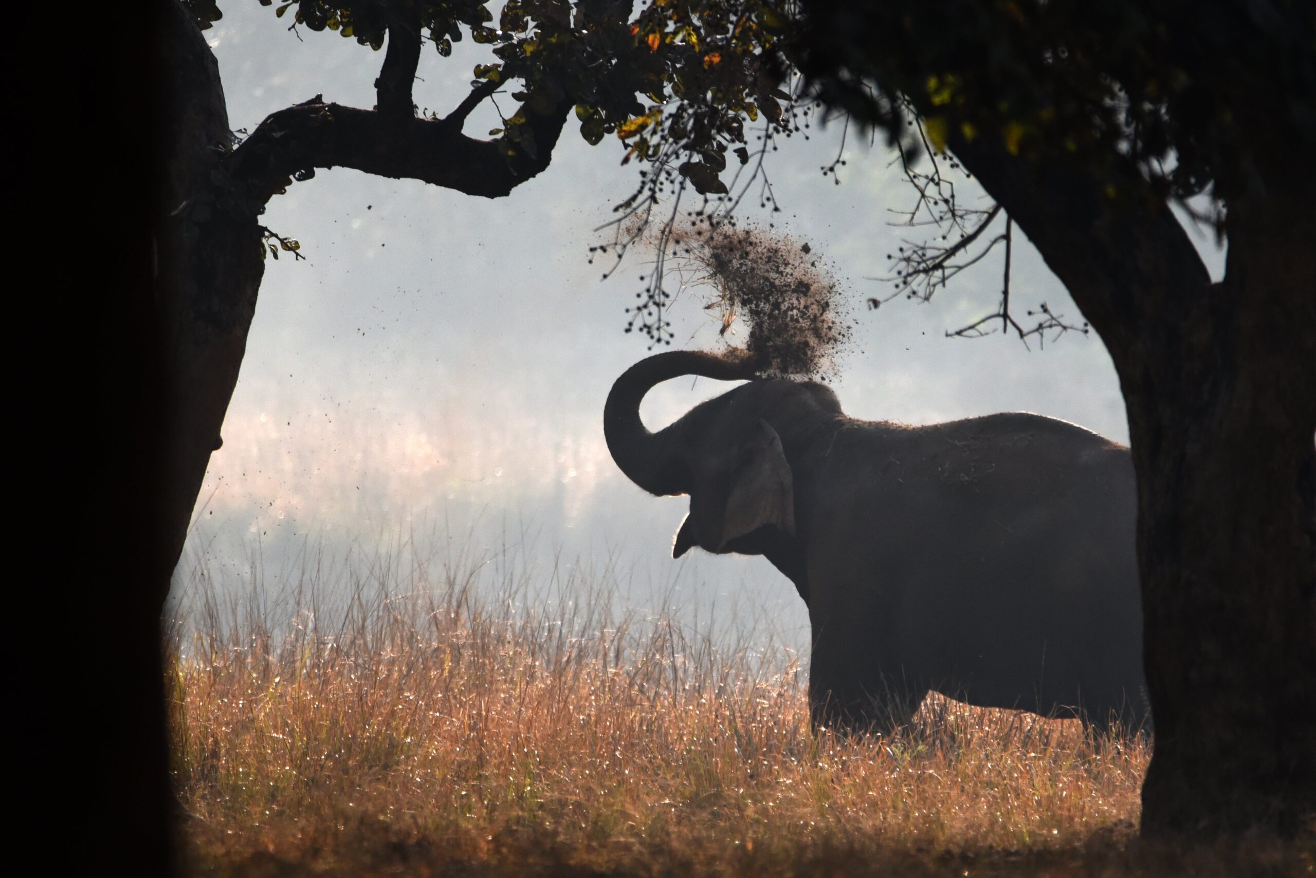 1758855937_892hqbyr1I