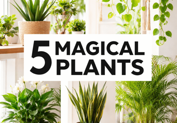 5 Magical Plants.