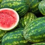 खेतों से बाज़ार तक: तपती धूप में ठंडक का स्वाद, तरबूज़